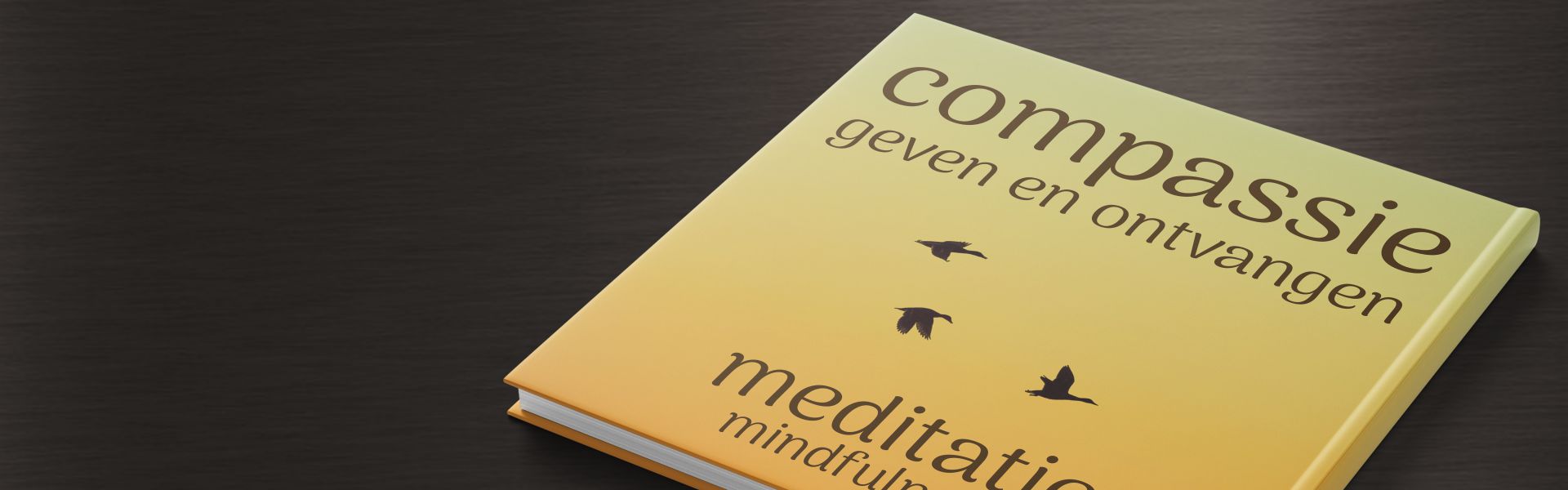 Compassie geven en ontvangen: mindfulness meditatie