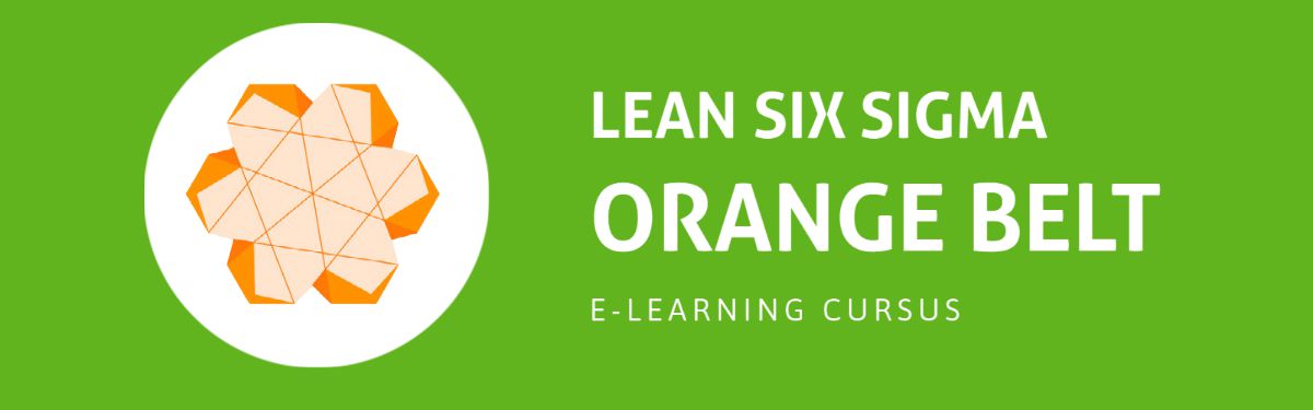 Lean Six Sigma - Orange Belt